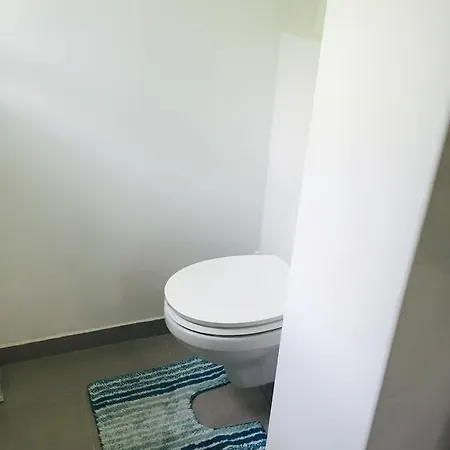 Apartment Warblers View